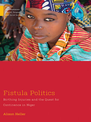 cover image of Fistula Politics